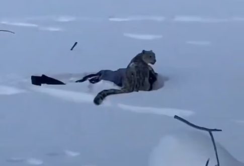 Τριήμερο στο ERTFLIX με αμέτρητες επιλογές<br>για ψυχαγωγία και διασκέδαση