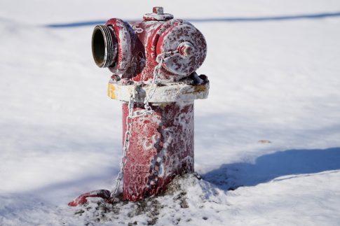 Ιεράπετρα: Σύλληψη για <strong>δηλητηρίαση αδέσποτου σκύλου</strong>