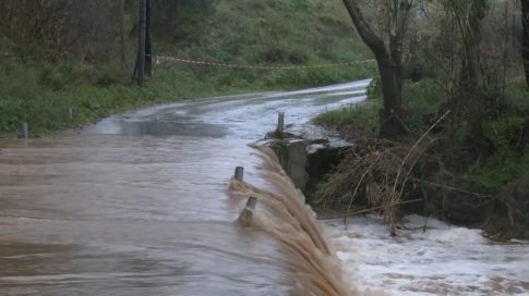 Ισχυρές καταιγίδες, θυελλώδεις άνεμοι και «λευκά» τοπία: Το ΕΡΤnews στο «μάτι» της κακοκαιρίας