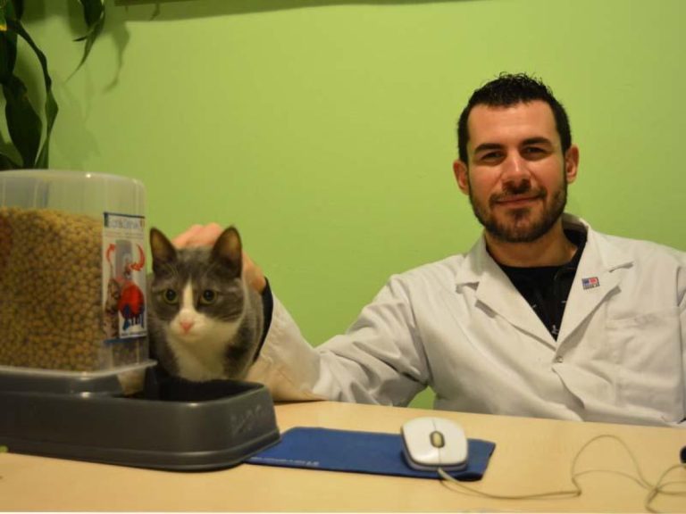 Ευλογιά των αιγοπροβάτων: Ο Π. Σταμόπουλος ζητά άμεση αξιοποίηση των εμβολίων