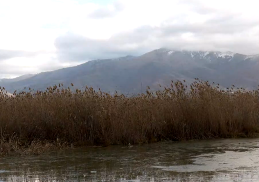 Προσωρινή «ανάσα» για Μικρή και Μεγάλη Πρέσπα εν μέσω κλιματικής αλλαγής- Συνεχίζεται η αύξηση της στάθμης των υδάτων