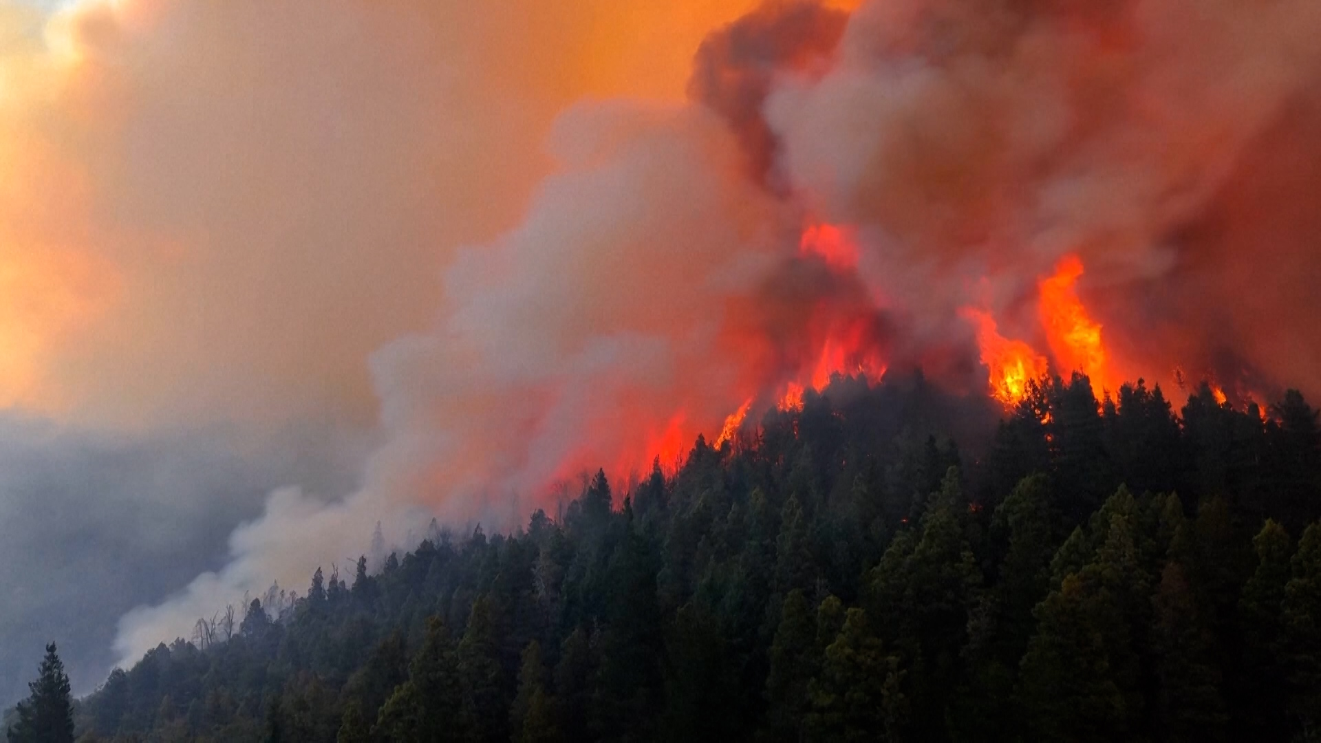 Αργεντινή: Πύρινος εφιάλτης στην Παταγονία –  Κοντά σε οικισμούς το μέτωπο της φωτιάς