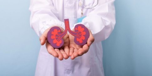 Ισχυρές καταιγίδες, θυελλώδεις άνεμοι και «λευκά» τοπία: Το ΕΡΤnews στο «μάτι» της κακοκαιρίας