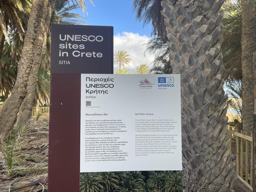 Κρήτη: Οριοθετείται το σπάνιο φοινικόδασος στο Βάι – Έργα προστασίας