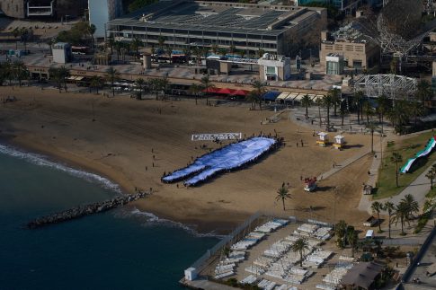 2<sup>ο</sup> Δημοτικό Σχολείο Αλεξανδρούπολης: Μάζεψαν καπάκια, πήραν αναπηρικό αμαξίδιο και το χάρισαν στο Ειδικό Δημοτικό Σχολείο