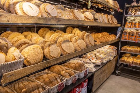 «Δημογραφική κατάρρευση» και Πανεπιστήμια: «Σήμα κινδύνου» από τη Σύνοδο Πρυτάνεων στον Βόλο