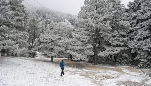 Σφοδρή επίθεση στην κυβέρνηση από Φάμελλο και Ανδρουλάκη – Σκληρή κριτική της αντιπολίτευσης για το αγροτικό