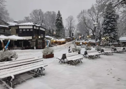 Συστήνεται επιτροπή για τον πρωτογενή τομέα μετά από απόφαση του Πρωθυπουργού