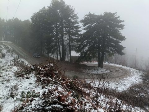 «Βούλιαξε» η κεντρική πλατεία για το 12<sup>ο</sup> Καλαματιανό Καρναβάλι (βίντεο & φωτογραφίες)