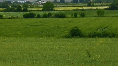 Σημεία Συνάντησης – Studios Edition: Καλλιτέχνες ανοίγουν τους χώρους δημιουργίας τους σε Αθήνα και Θεσσαλονίκη