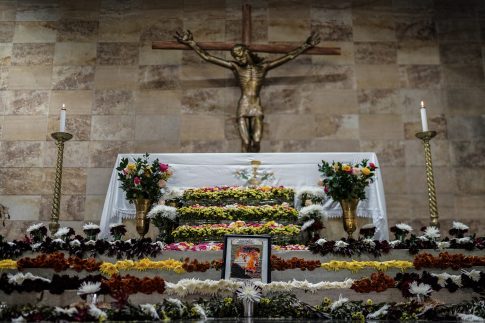 <strong>Ελαιοκομικό Μητρώο: Υποχρεώσεις Ελαιοπαραγωγών για τις Δηλώσεις Συγκομιδής</strong>