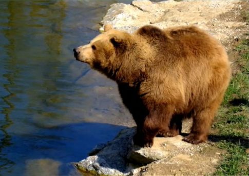 <strong>Πυρκαγιά σε πολυώροφο κτίριο της Οδησσού, μετά τις αναφορές για καταρρίψεις drones</strong>