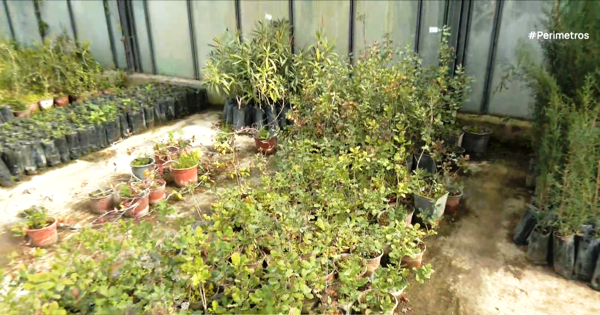 2.700 φυτά από το Περιφερειακό φυτώριο Νοτίου Αιγαίου