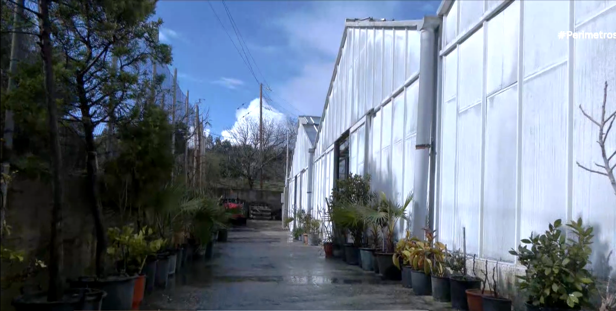 2.700 φυτά από το Περιφερειακό φυτώριο Νοτίου Αιγαίου