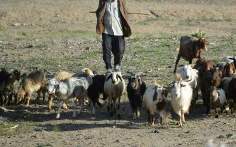 Στον Εισαγγελέα προσέφυγαν οι γονείς του 27ου Δημοτικού Βόλου για σοβαρά προβλήματα ασφάλειας