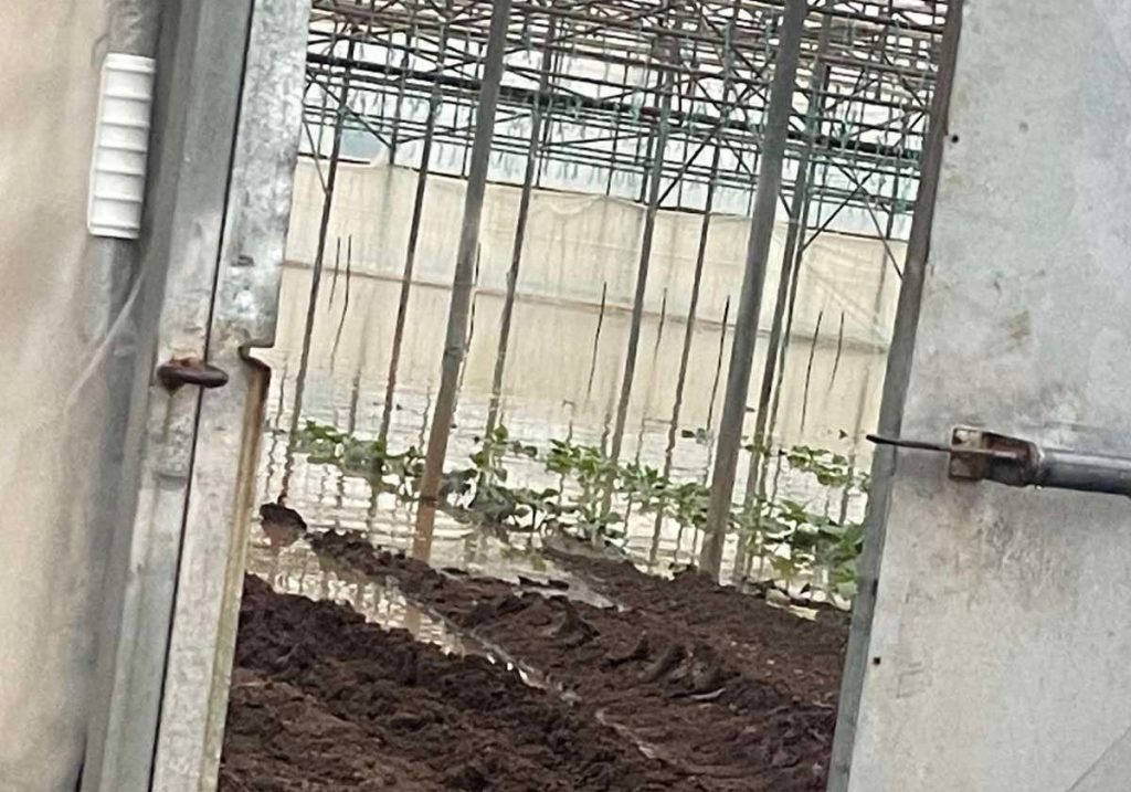 Μεσσηνία: Υπερχείλισε η Νέδα στην Ελαία – Κατολισθήσεις και ποτάμια στα όριά τους σε όλο τον Νομό