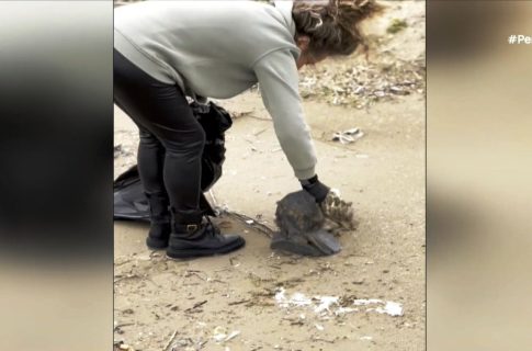 Τεράστια κύματα «χτυπούν» τη Νέα Παραλία Θεσσαλονίκης- Βγήκε η θάλασσα στη στεριά σε Αγία Τριάδα και Επανομή (εικόνες)