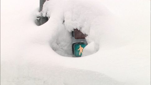 Ισχυρές βροχές και θυελλώδεις άνεμοι στα παράλια της Λάρισας – Mηχανήματα καθαρίζουν τους δρόμους