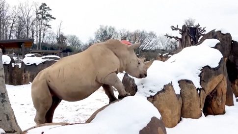 Καιρός: Περάσματα ισχυρών καταιγίδων, με θυελλώδεις ανέμους και κύμα ερημικής σκόνης – Πότε εκδηλώνονται σε Αττική, Θεσσαλονίκη live η πορεία της κακοκαιρίας