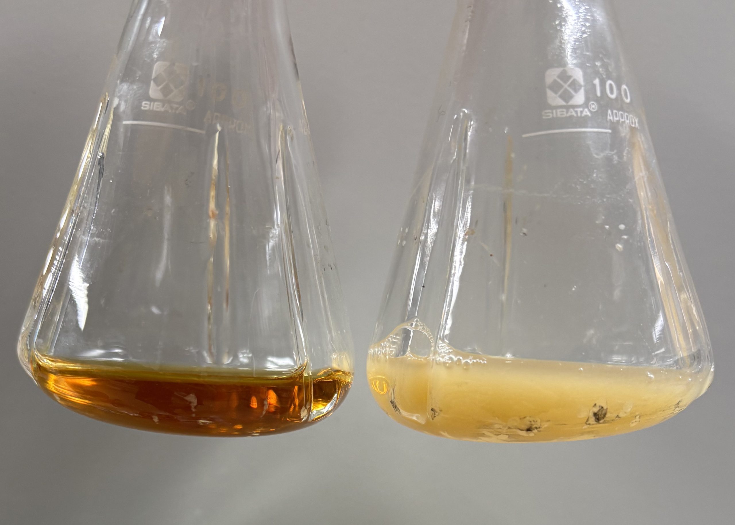 260217-hasunuma-meroterpenoid-cultures