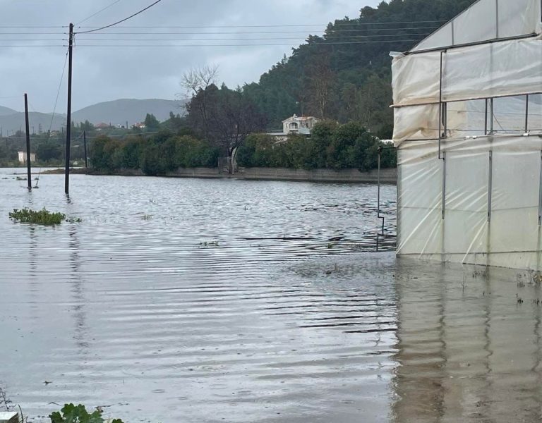 Μεσσηνία: Υπερχείλισε η Νέδα στην Ελαία – Κατολισθήσεις και ποτάμια στα όριά τους σε όλο τον Νομό
