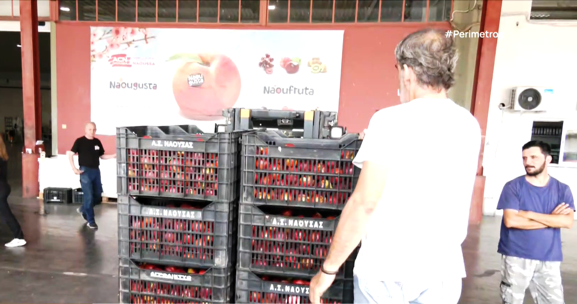 Ο αγροτικός συνεταιρισμός Ναούσης στην «Fruit Logistica»