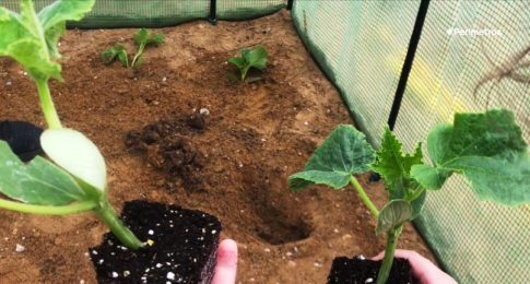 Τεράστια κύματα «χτυπούν» τη Νέα Παραλία Θεσσαλονίκης- Βγήκε η θάλασσα στη στεριά σε Αγία Τριάδα και Επανομή (εικόνες)