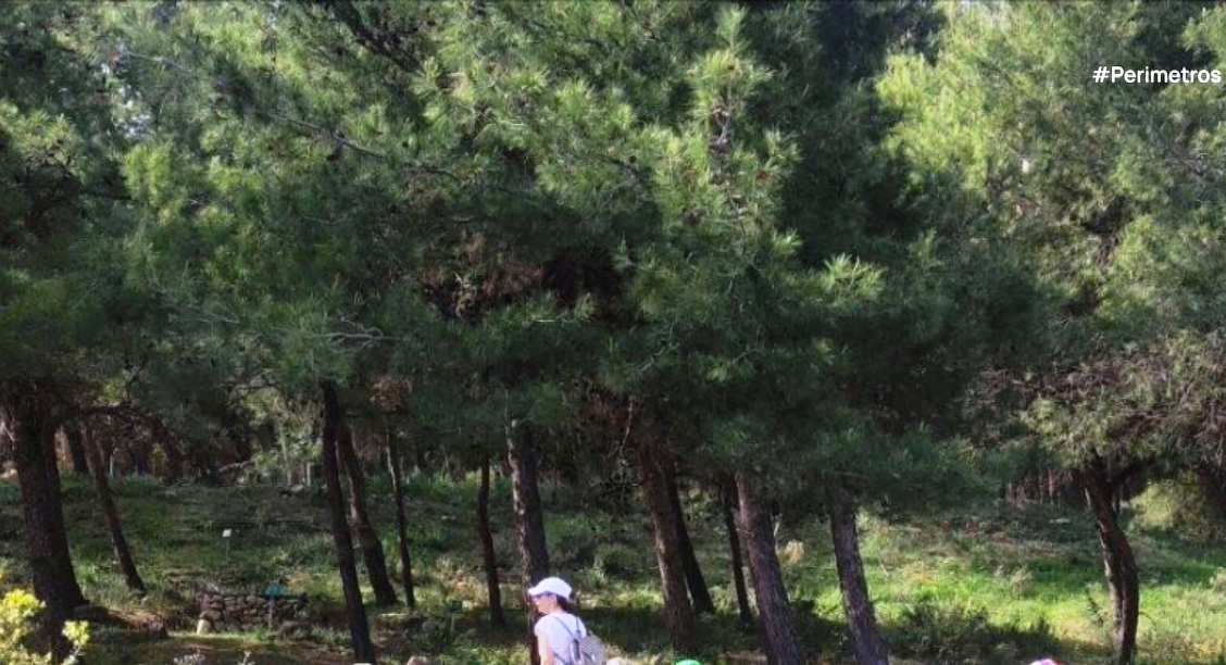 Το οικολογικό νηπιαγωγείο στην Κω