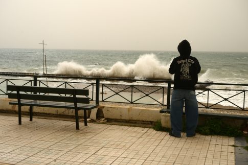 Πτώσεις δέντρων στην Αττική λόγω των θυελλωδών ανέμων – Στην Αγία Παρασκευή έπεσε πεύκο 25 μέτρων
