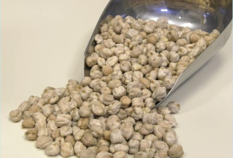 Θεσσαλονίκη: Μια οικογένεια μετέτρεψε την αγάπη για τη γη σε επιτυχημένο τοπικό brand