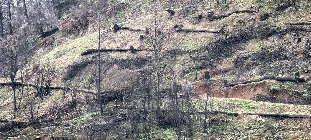 Στην Πάτρα για τα αντιπλημμυρικά ο Σταύρος Παπασταύρου