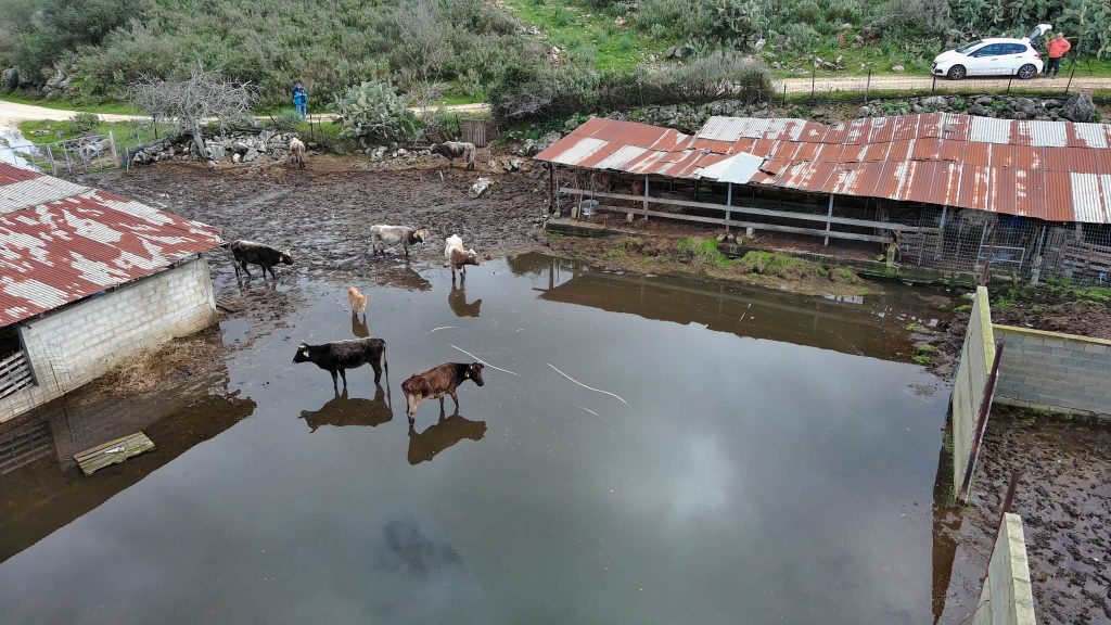 Καρέ-καρέ η εξέλιξη των πλημμυρικών φαινομένων με την κάμερα του ΕΡΤnews στα παραποτάμια χωριά της Πρέβεζας