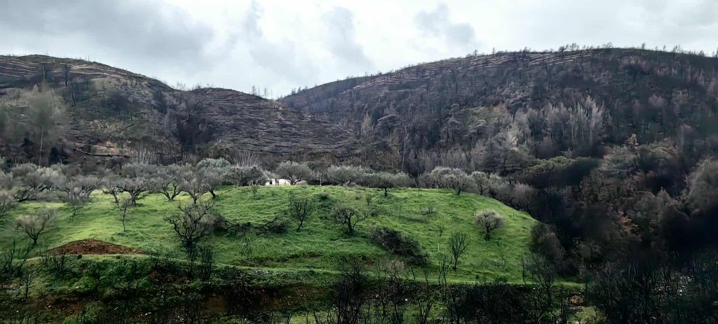 Στην Πάτρα για τα αντιπλημμυρικά ο Σταύρος Παπασταύρου