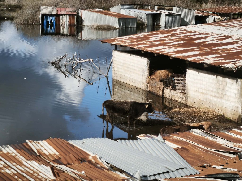 Καρέ-καρέ η εξέλιξη των πλημμυρικών φαινομένων με την κάμερα του ΕΡΤnews στα παραποτάμια χωριά της Πρέβεζας