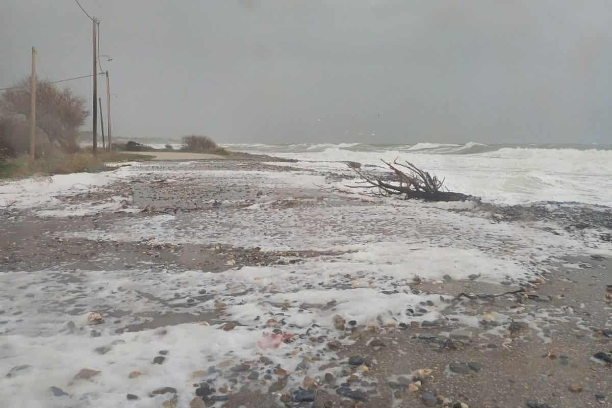 630140002-1572380320550151-7921244417154257976-n