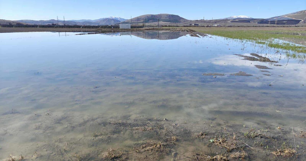 Κοζάνη: Σε απόγνωση οι αγρότες στον κάμπο Σαριγκιόλ – Εκατοντάδες στρέμματα ξανά κάτω από το νερό