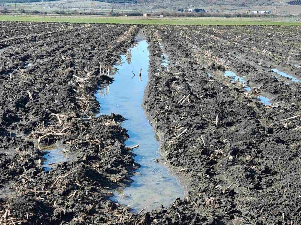 Κοζάνη: Σε απόγνωση οι αγρότες στον κάμπο Σαλιγκιόλ – Εκατοντάδες στρέμματα ξανά κάτω από το νερό