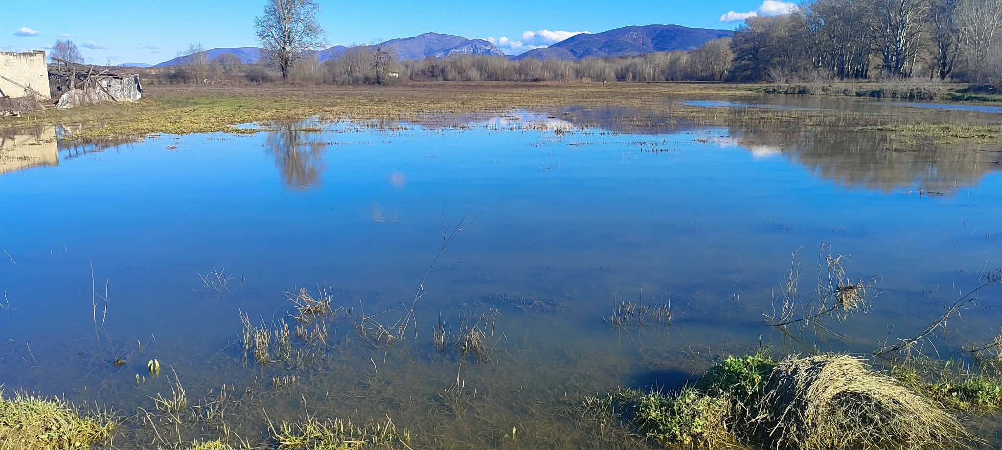 638415705-894900290185212-8259430051842969831-n