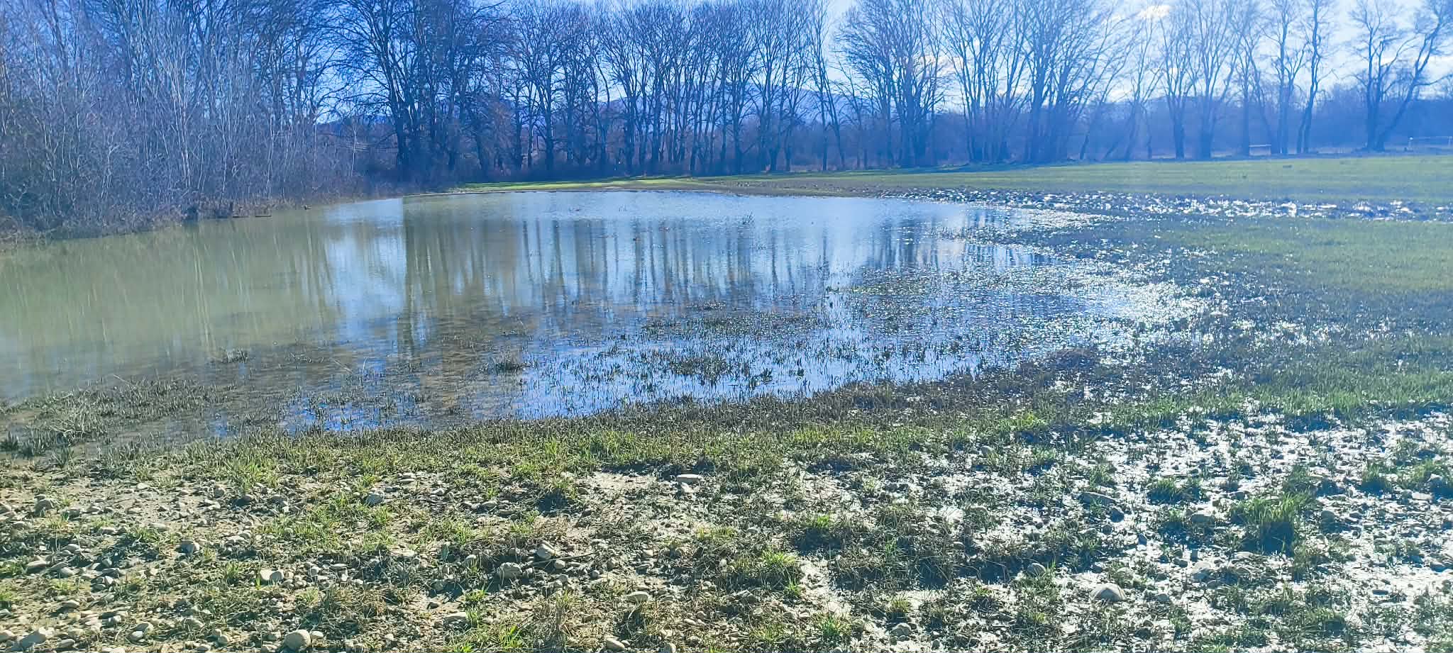 641355157-1626739222089067-6050654881432969797-n Καταστροφή και αγωνία στον Έβρο λόγω υπερχείλισης του ποταμού – Βυθισμένες εκτάσεις σε Βόιο και νότια Ηλεία, ανησυχία για την αγροτική παραγωγή