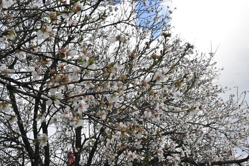 Λεωφόρος Σχιστού: Στο μικροσκόπιο των αρχών ο οδηγός που κινήθηκε όπισθεν για 1,5 χλμ στη ΛΕΑ – Δημογλίδου: Δυστυχώς δεν είναι πρωτοφανές
