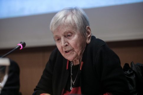 <strong>Ελαιοκομικό Μητρώο: Υποχρεώσεις Ελαιοπαραγωγών για τις Δηλώσεις Συγκομιδής</strong>