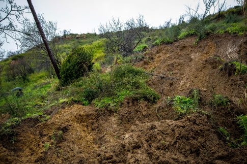 Ταϊλάνδη: 72 τίγρεις πέθαναν από ιό σε ζωολογικό πάρκο στη βόρεια Ταϊλάνδη