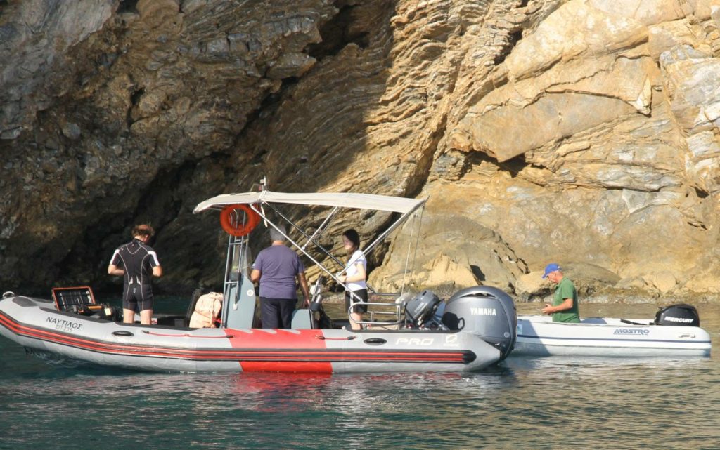 Ρεκόρ γεννήσεων μεσογειακής φώκιας στην Αλόννησο