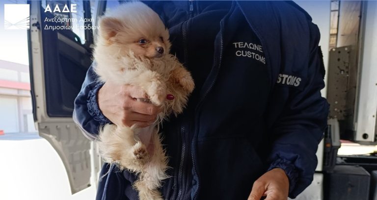 Ναρκωτικά, λαθραία τσιγάρα και αδήλωτο συνάλλαγμα εντόπισε η ΑΑΔΕ: Σαρωτικοί έλεγχοι με X-Ray και Έλβις