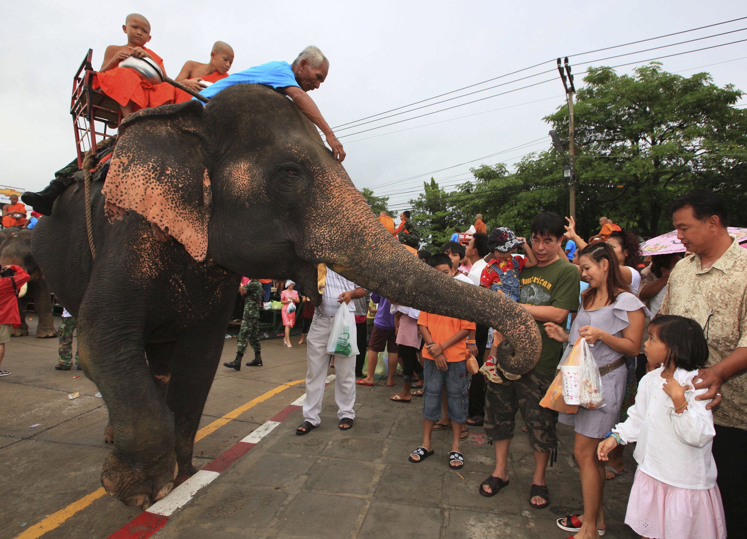 Thailand Daily Life Ταϊλάνδη: Εμβόλιο αντισύλληψης σε άγριους ελέφαντες για τον περιορισμό των συγκρούσεων με ανθρώπους