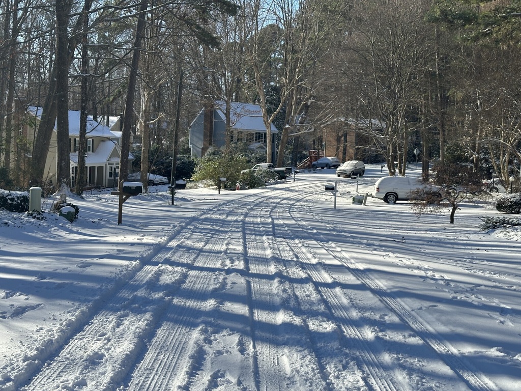 ΗΠΑ: Χάος στις μεταφορές λόγω της χιονοθύελλας «βόμβα» – Πολικές θερμοκρασίες ακόμα και στη Φλόριντα ρίχνουν μέχρι και τα ιγκουάνα από τα δέντρα