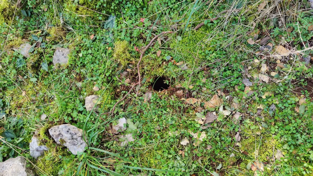 Θεσσαλονίκη: Έσκαβαν συστηματικά για αρχαία-Τρεις συλλήψεις μετά από αστυνομική επιχείρηση