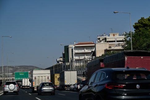 Ιεράπετρα: Σύλληψη για <strong>δηλητηρίαση αδέσποτου σκύλου</strong>