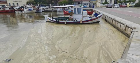 Δύο καθηγητές του Πανεπιστημίου Θεσσαλίας εξελέγησαν τακτικά μέλη της Ελληνικής Γεωργικής Ακαδημίας