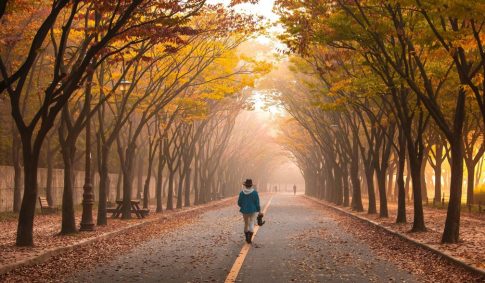 Αποστολή της Περιφέρειας Αν. Μακεδονίας-Θράκης σε βαλκανικές πρωτεύουσες